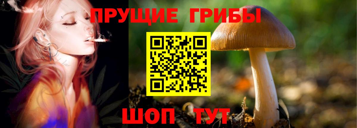 Галлюциногенные грибы Magic Shrooms  Галлюциногенные грибы GOLDEN TEACHER  Сызрань  Вход с VPN 